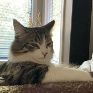 Meet your Posher, Naomi